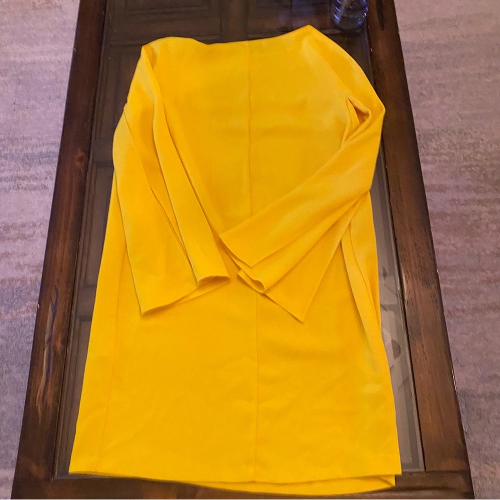 NWOT Zara Cape Sleeved Sheath Dress - Picture 2 of 11